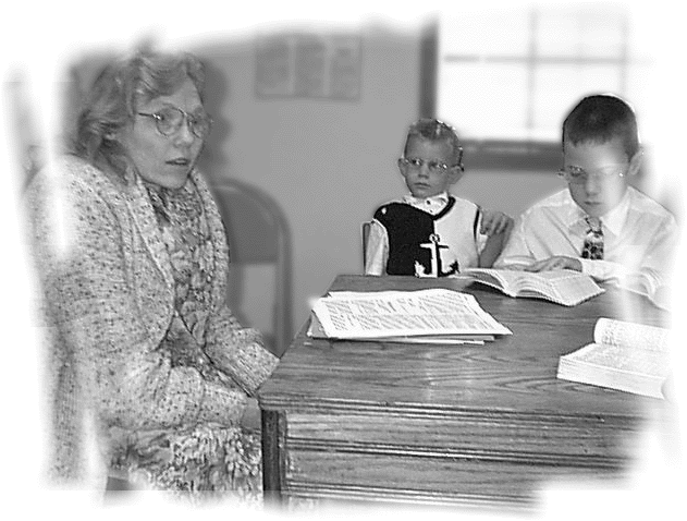 Primary.gif (110385 bytes)